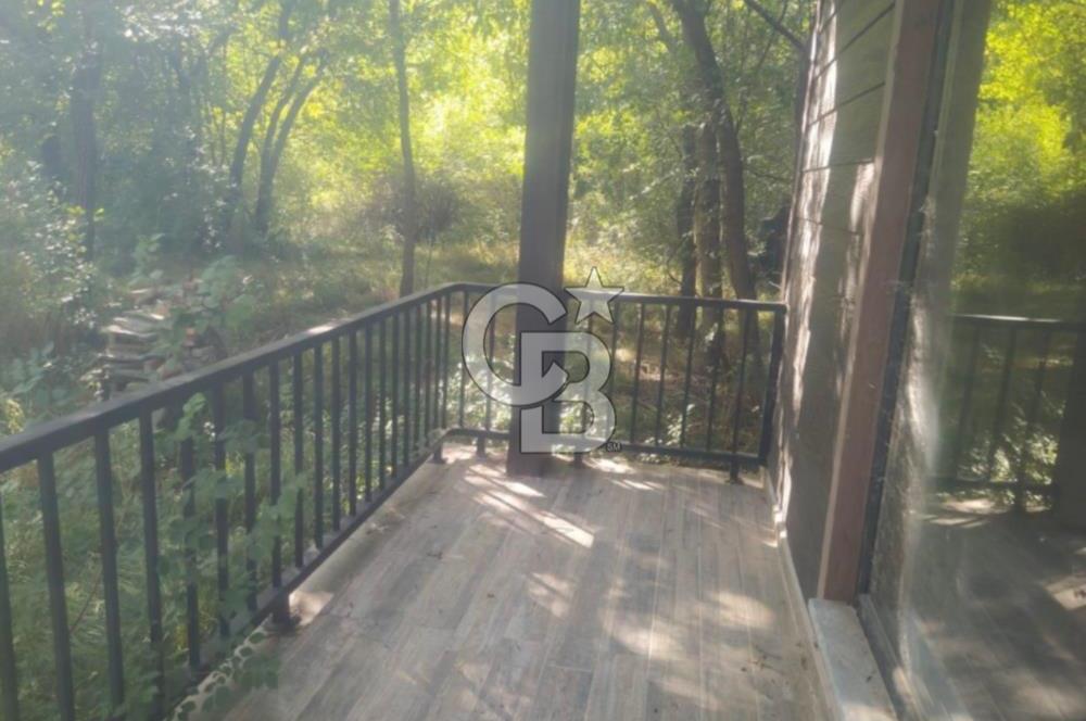 DOĞANIN ORTASINDA HUZURLU VE SESSİZ YAŞAM