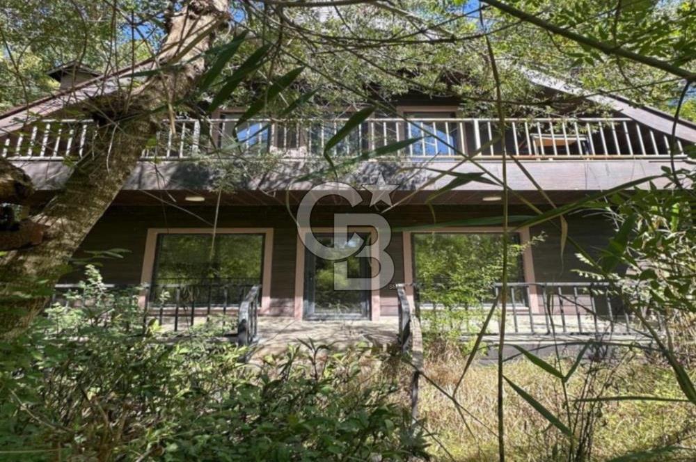 DOĞANIN ORTASINDA HUZURLU VE SESSİZ YAŞAM