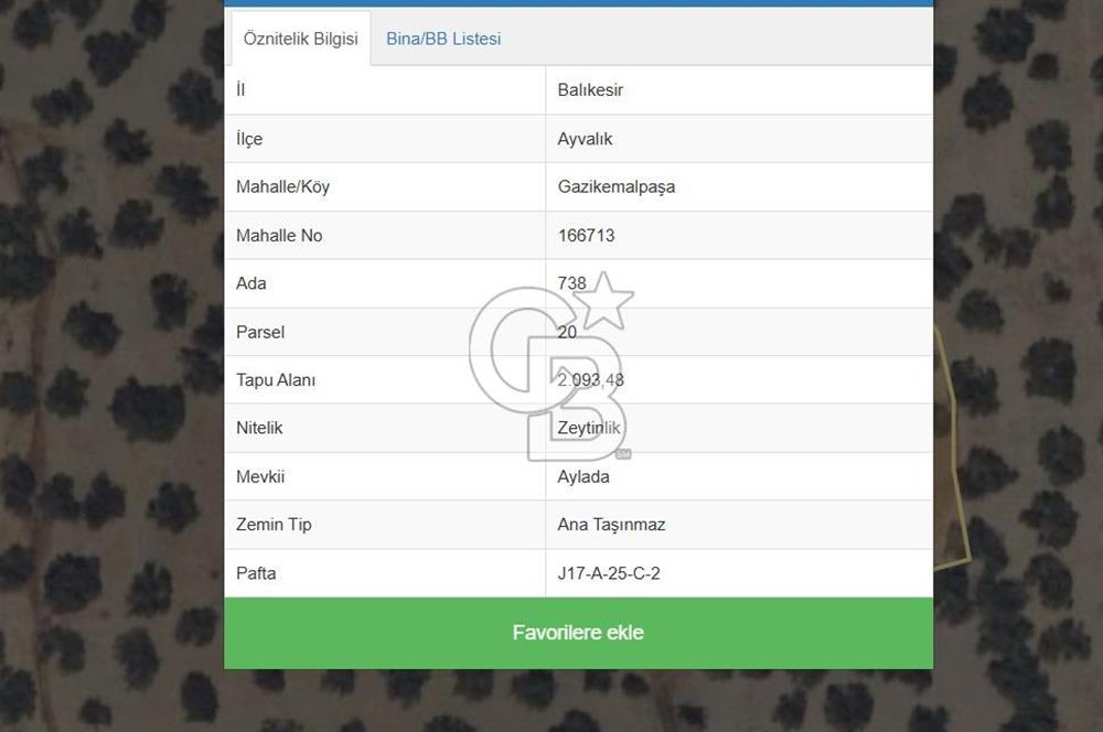 AYVALIK SATILIK ZEYTİNLİK 