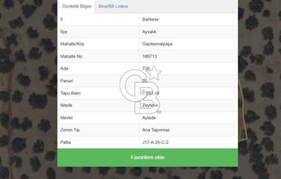 AYVALIK SATILIK ZEYTİNLİK 