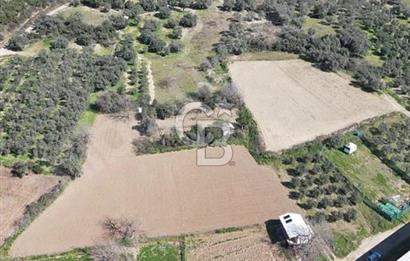 Barakfakihte Yatırımlık Tek Tapu Tarla!!!