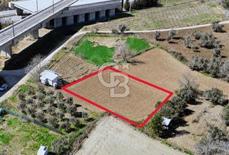 Barakfakihte Yatırımlık Tek Tapu Tarla!!! - 10 - 333347