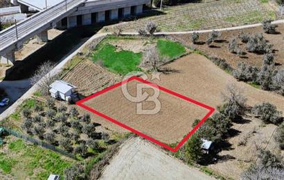 Barakfakihte Yatırımlık Tek Tapu Tarla!!!