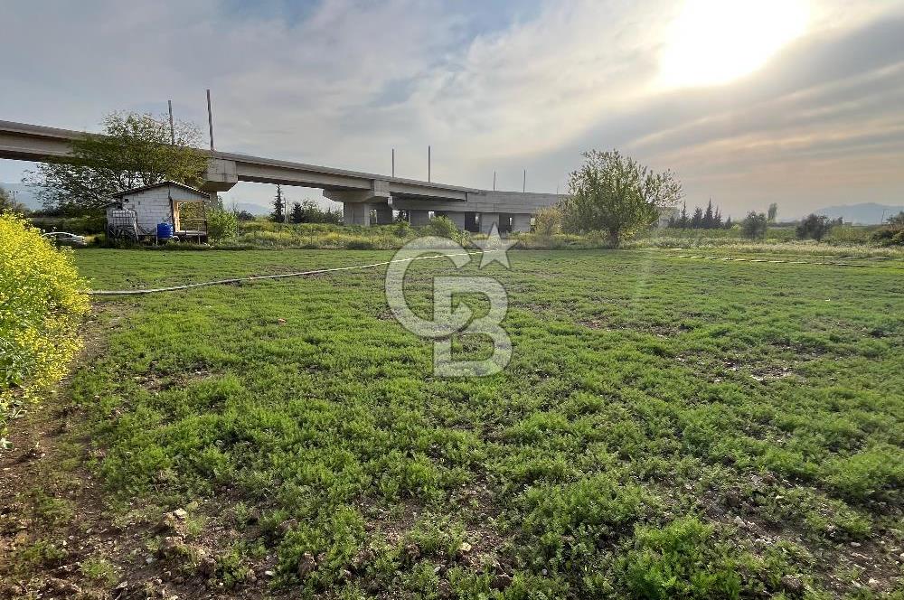 Barakfakihte Yatırımlık Tek Tapu Tarla!!!