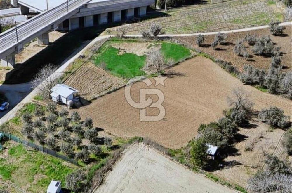 Barakfakihte Yatırımlık Tek Tapu Tarla!!!