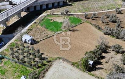 Barakfakihte Yatırımlık Tek Tapu Tarla!!!