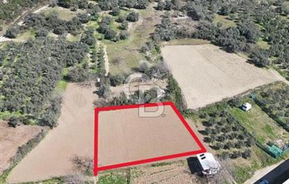 Barakfakihte Yatırımlık Tek Tapu Tarla!!!