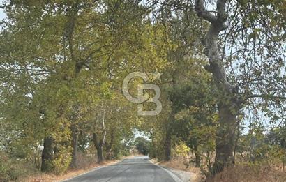 Çanakkale Yenice Boynanlar’da Villa & Konut İmarlı, Müstakil Satılık Arsa