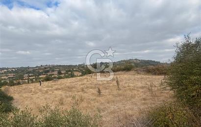 Çanakkale Yenice Boynanlar’da Villa & Konut İmarlı, Müstakil Satılık Arsa