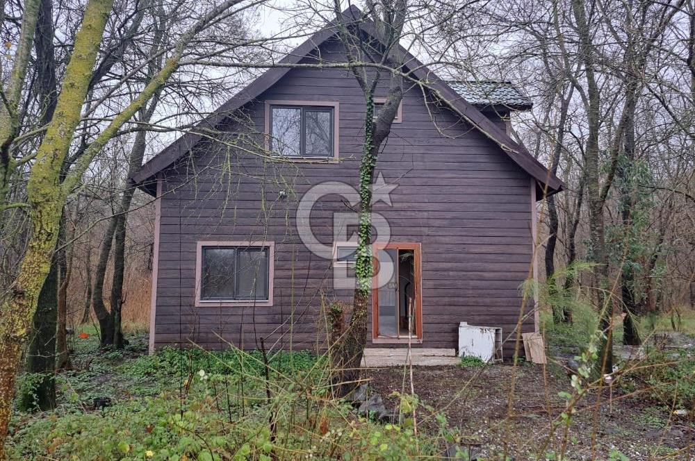 DOĞANIN ORTASINDA HUZURLU VE SESSİZ YAŞAM