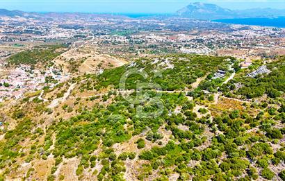 Datça Hızırşah'ta Satılık Yatırımlık Tarla