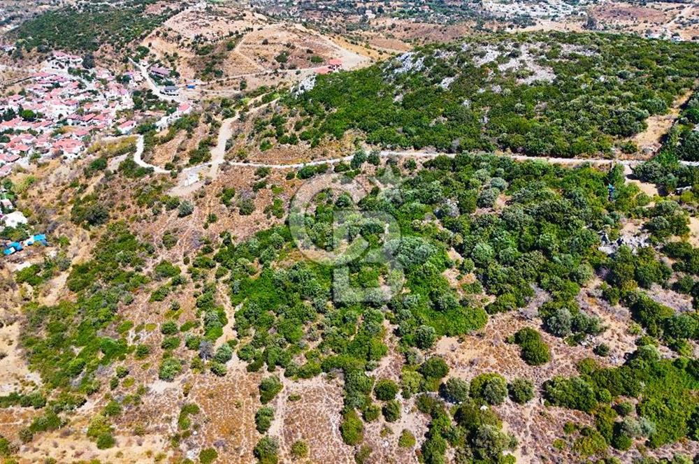 Datça Hızırşah'ta Satılık Yatırımlık Tarla