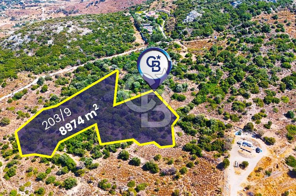 Datça Hızırşah'ta Satılık Yatırımlık Tarla