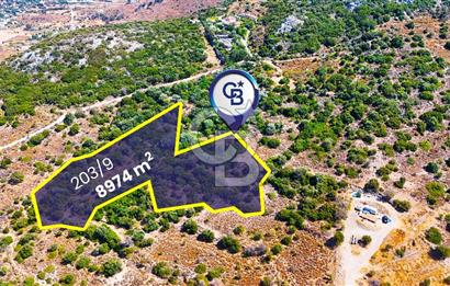 Datça Hızırşah'ta Satılık Yatırımlık Tarla