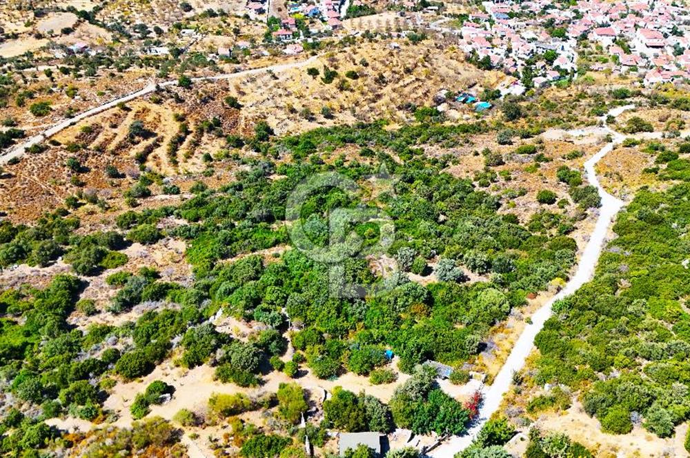 Datça Hızırşah'ta Satılık Yatırımlık Tarla