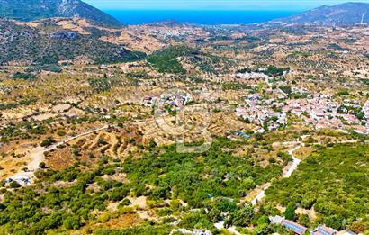 Datça Hızırşah'ta Satılık Yatırımlık Tarla