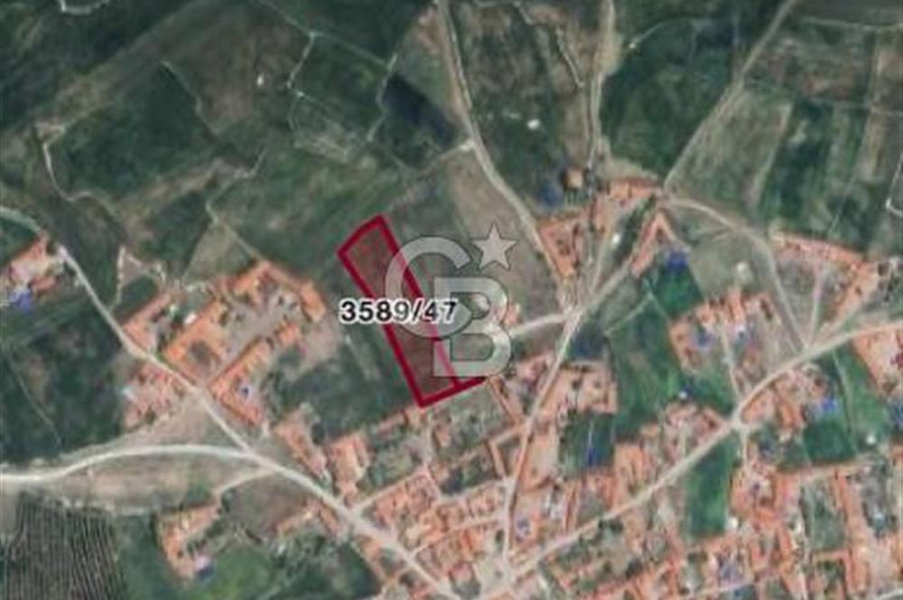 CB CITY'DEN SEYİTGAZİ CEVİZLİ KÖYÜ'NDE SATILIK TARLA