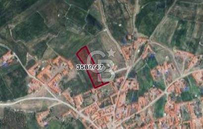 CB CITY'DEN SEYİTGAZİ CEVİZLİ KÖYÜ'NDE SATILIK TARLA