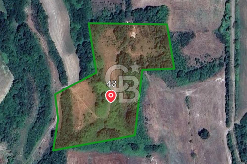 İSTANBUL ÇATALCA ÖRENCİK’TE SATILIK TARLA