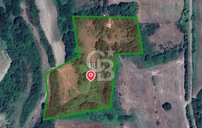 İSTANBUL ÇATALCA ÖRENCİK’TE SATILIK TARLA