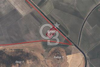 CB ODAK'TAN DİKİLİ SALİMBEY'DE 21 DÖNÜM VERİMLİ TARLA - 4 - 333385