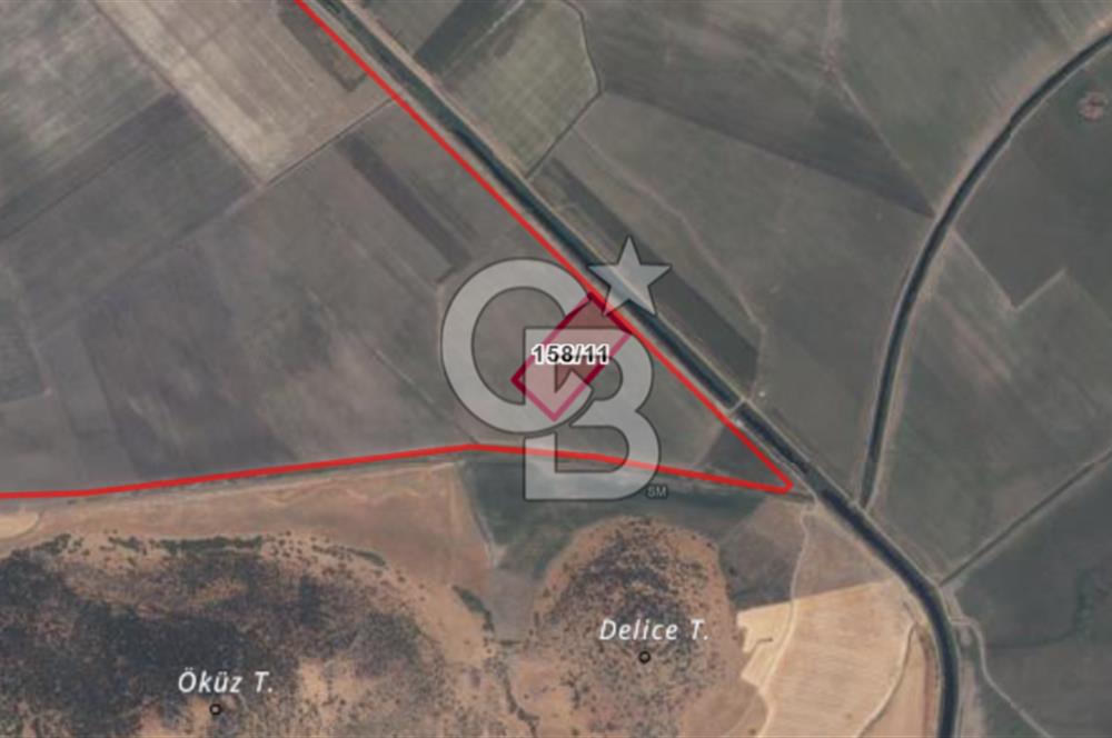 CB ODAK'TAN DİKİLİ SALİMBEY'DE 21 DÖNÜM VERİMLİ TARLA