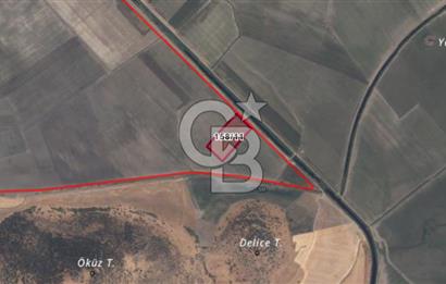 CB ODAK'TAN DİKİLİ SALİMBEY'DE 21 DÖNÜM VERİMLİ TARLA