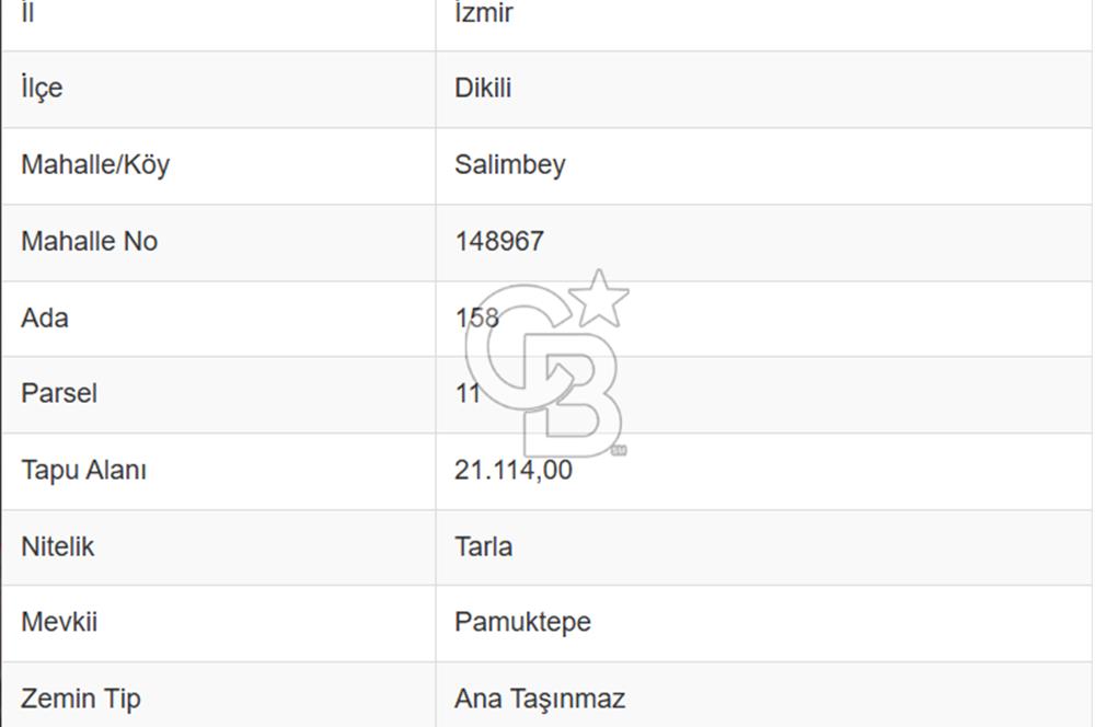 CB ODAK'TAN DİKİLİ SALİMBEY'DE 21 DÖNÜM VERİMLİ TARLA