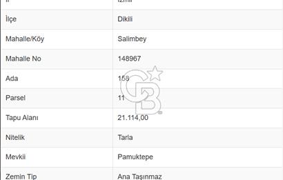 CB ODAK'TAN DİKİLİ SALİMBEY'DE 21 DÖNÜM VERİMLİ TARLA