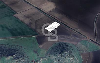 CB ODAK'TAN DİKİLİ SALİMBEY'DE 21 DÖNÜM VERİMLİ TARLA