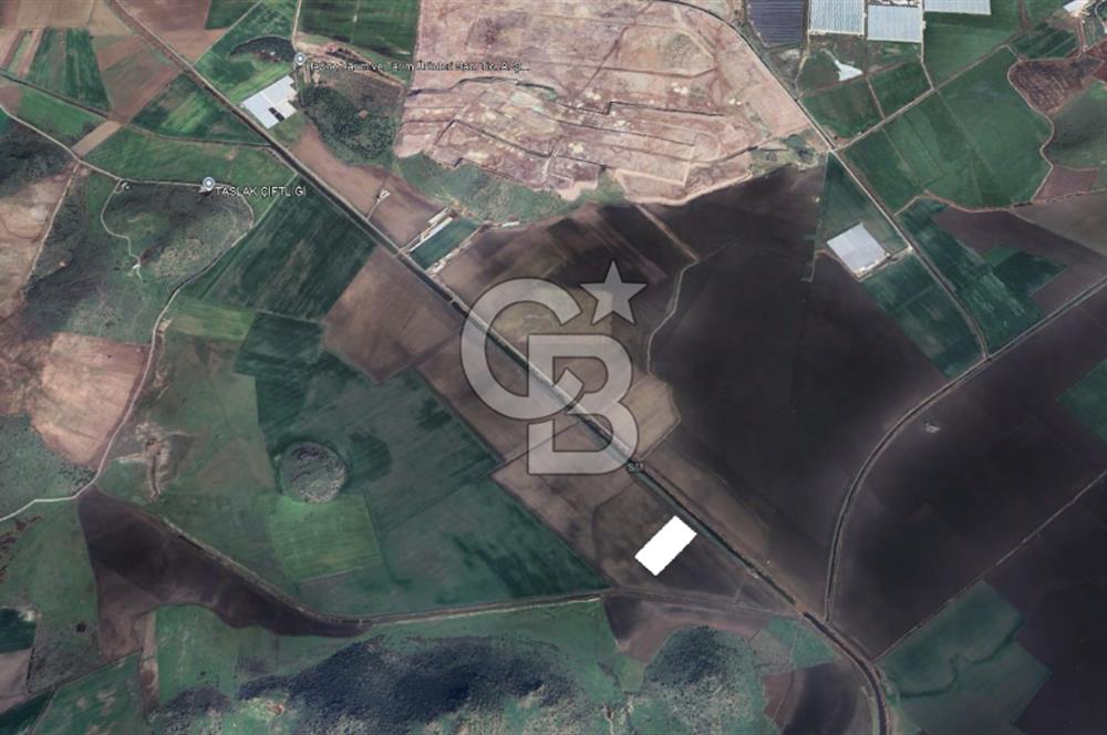 CB ODAK'TAN DİKİLİ SALİMBEY'DE 21 DÖNÜM VERİMLİ TARLA