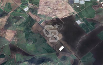 CB ODAK'TAN DİKİLİ SALİMBEY'DE 21 DÖNÜM VERİMLİ TARLA