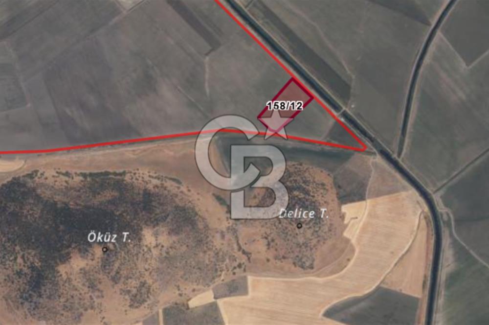 CB ODAK'TAN DİKİLİ SALİMBEY'DE 21 DÖNÜM VERİMLİ TARLA