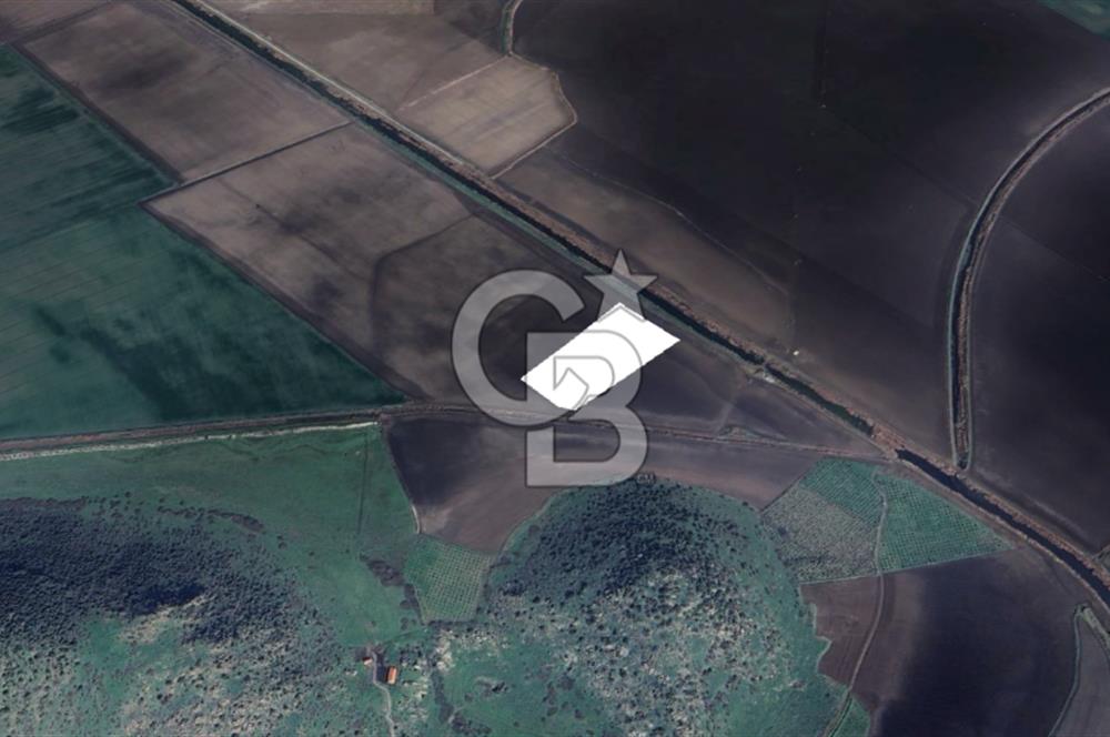 CB ODAK'TAN DİKİLİ SALİMBEY'DE 21 DÖNÜM VERİMLİ TARLA