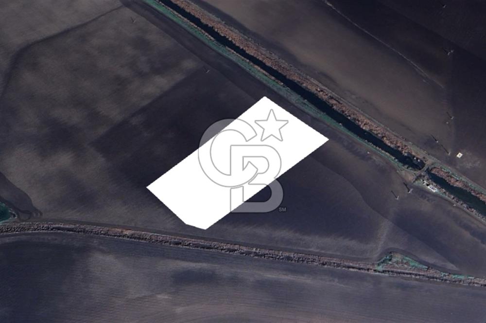 CB ODAK'TAN DİKİLİ SALİMBEY'DE 21 DÖNÜM VERİMLİ TARLA