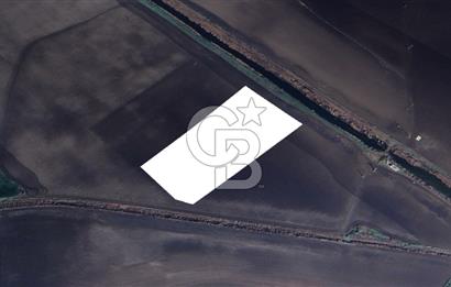 CB ODAK'TAN DİKİLİ SALİMBEY'DE 21 DÖNÜM VERİMLİ TARLA