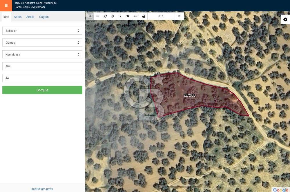 GÖMEÇ KEMALPAŞA’DA SATILIK ZEYTİNLİK