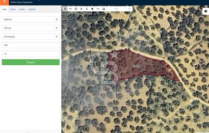 GÖMEÇ KEMALPAŞA’DA SATILIK ZEYTİNLİK