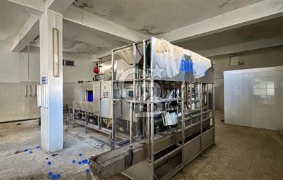 MUĞLA MİLAS OLUKBAŞI KÖYÜ GUVAZKAVAĞI'nda DOĞAL KAYNAKSUYU OLAN SATILIK TARLA 