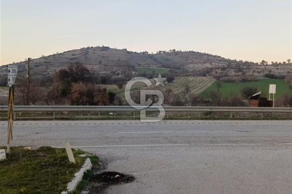 Manisa Kula Satılık İzmir-Uşak Ana Yoluna Çok Yakın Fırsat Bağ