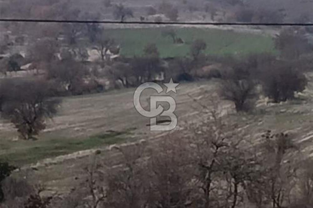 Manisa Kula Satılık İzmir-Uşak Ana Yoluna Çok Yakın Fırsat Bağ