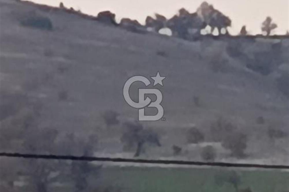 Manisa Kula Satılık İzmir-Uşak Ana Yoluna Çok Yakın Fırsat Bağ