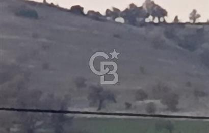 Manisa Kula Satılık İzmir-Uşak Ana Yoluna Çok Yakın Fırsat Bağ