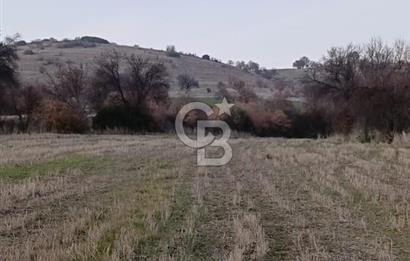 Manisa Kula Satılık İzmir-Uşak Ana Yoluna Çok Yakın Fırsat Bağ