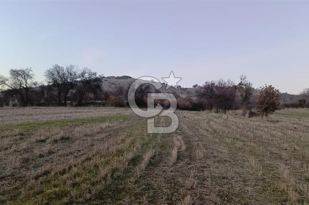Manisa Kula Satılık İzmir-Uşak Ana Yoluna Çok Yakın Fırsat Bağ