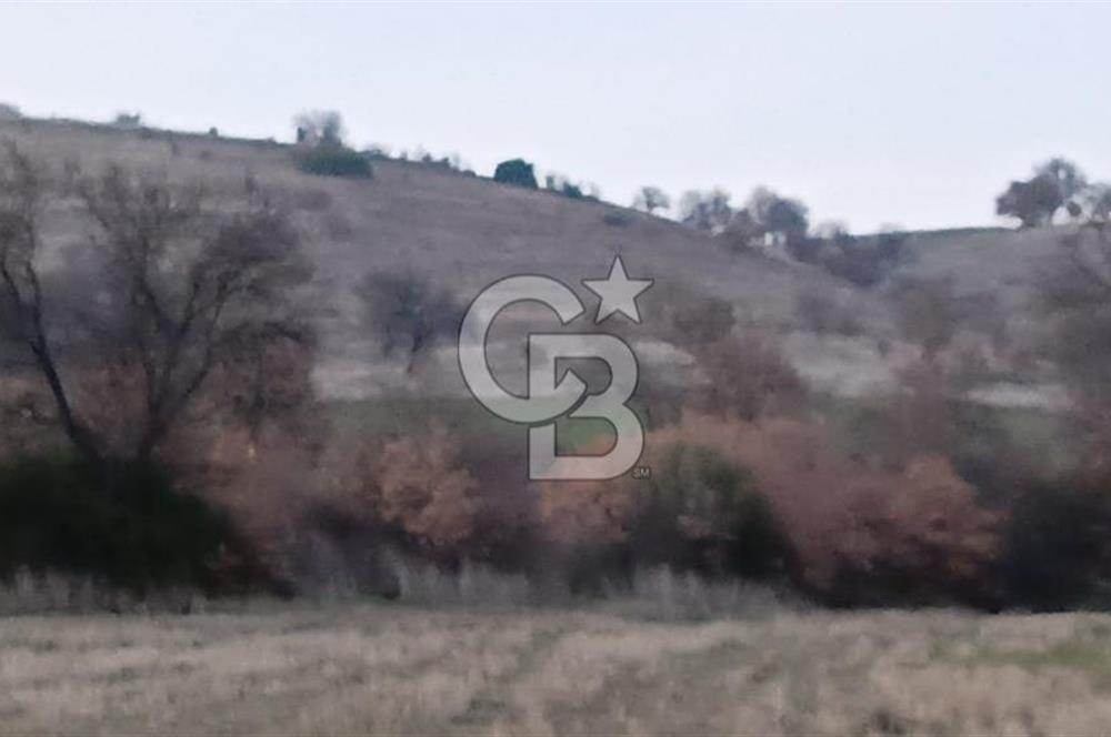Manisa Kula Satılık İzmir-Uşak Ana Yoluna Çok Yakın Fırsat Bağ