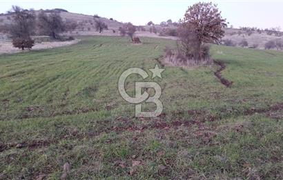 Manisa Kula Satılık İzmir-Uşak Ana Yoluna Çok Yakın Fırsat Bağ