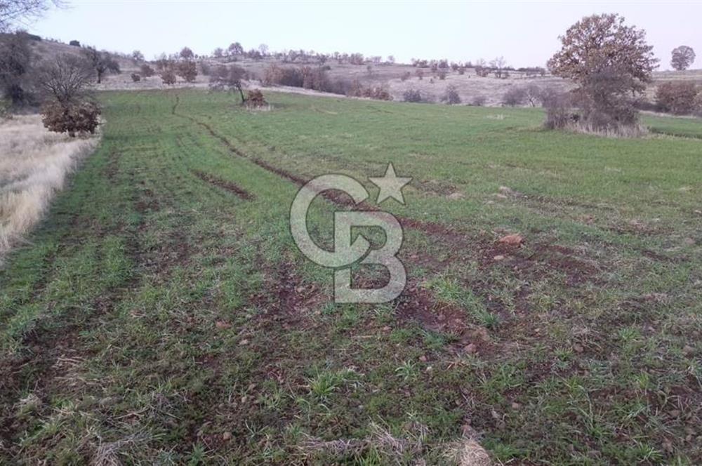 Manisa Kula Satılık İzmir-Uşak Ana Yoluna Çok Yakın Fırsat Bağ