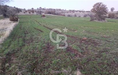 Manisa Kula Satılık İzmir-Uşak Ana Yoluna Çok Yakın Fırsat Bağ