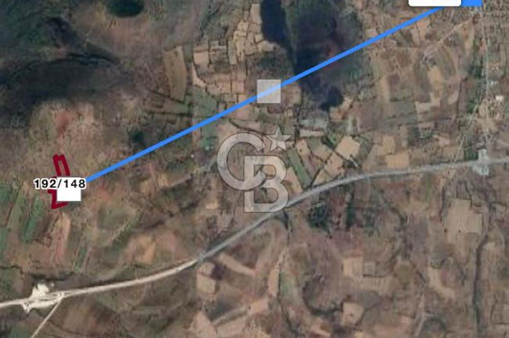 Manisa Kula Satılık İzmir-Uşak Ana Yoluna Çok Yakın Fırsat Bağ